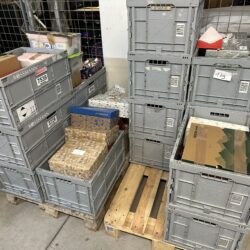 Steyr Rainer Grammer w